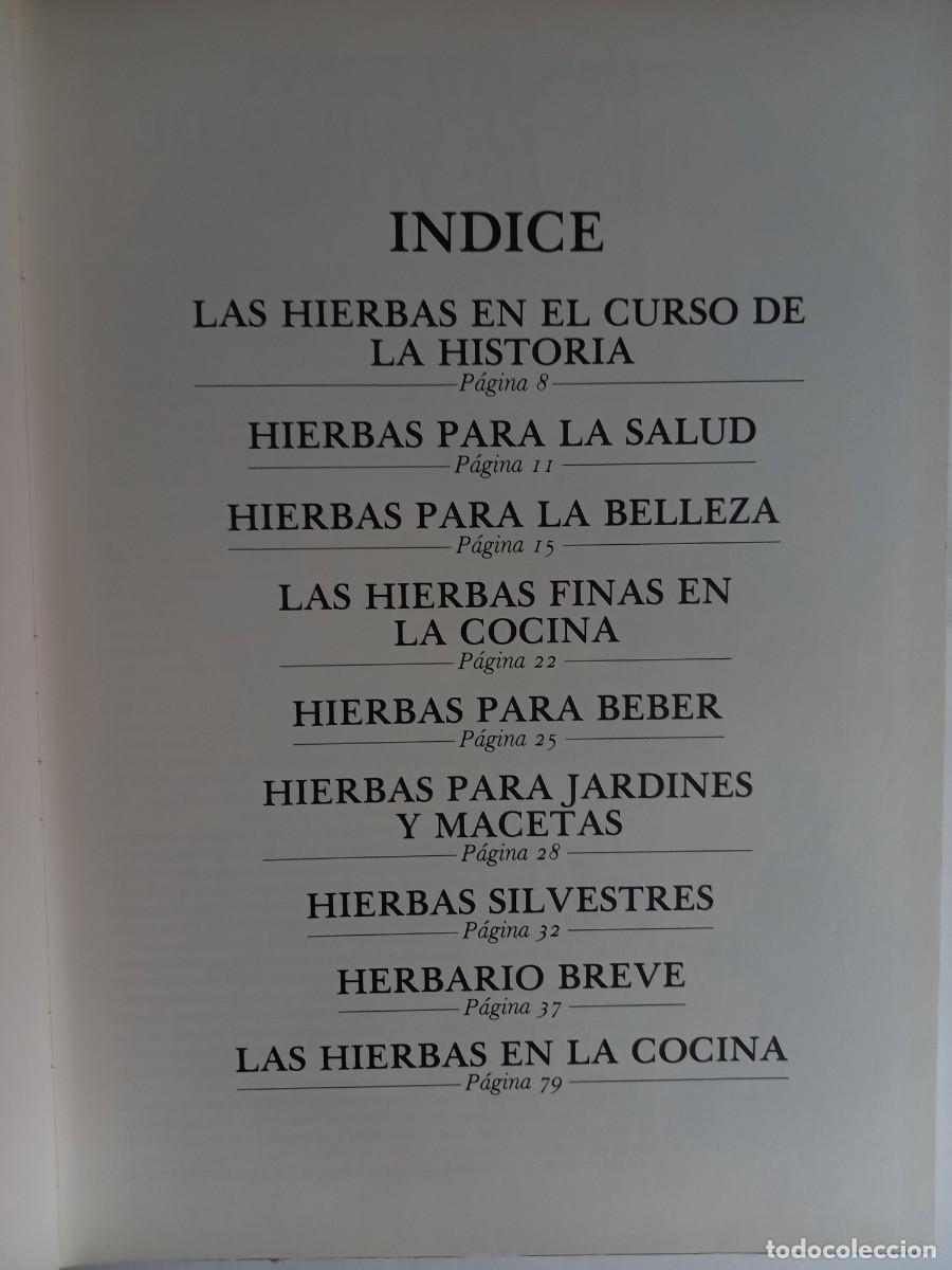 Libros de segunda mano: EL MUNDO DE LAS HIERBAS CAROLINE AUSTIN - Foto 3