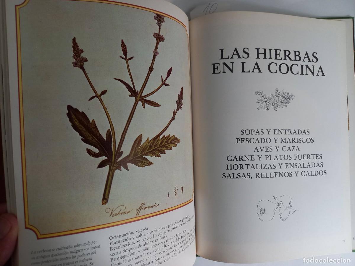 Libros de segunda mano: EL MUNDO DE LAS HIERBAS CAROLINE AUSTIN - Foto 5