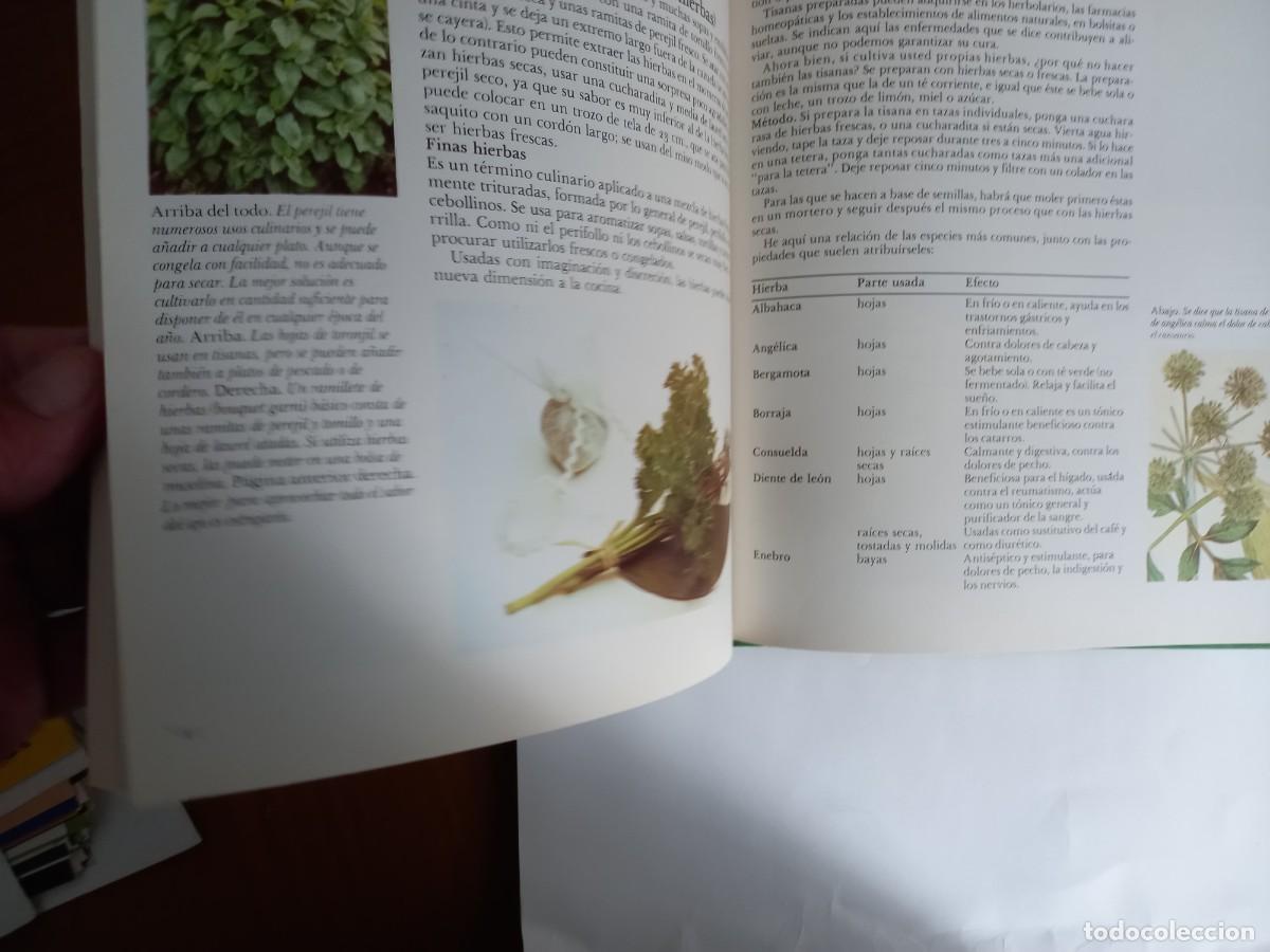 Libros de segunda mano: EL MUNDO DE LAS HIERBAS CAROLINE AUSTIN - Foto 8