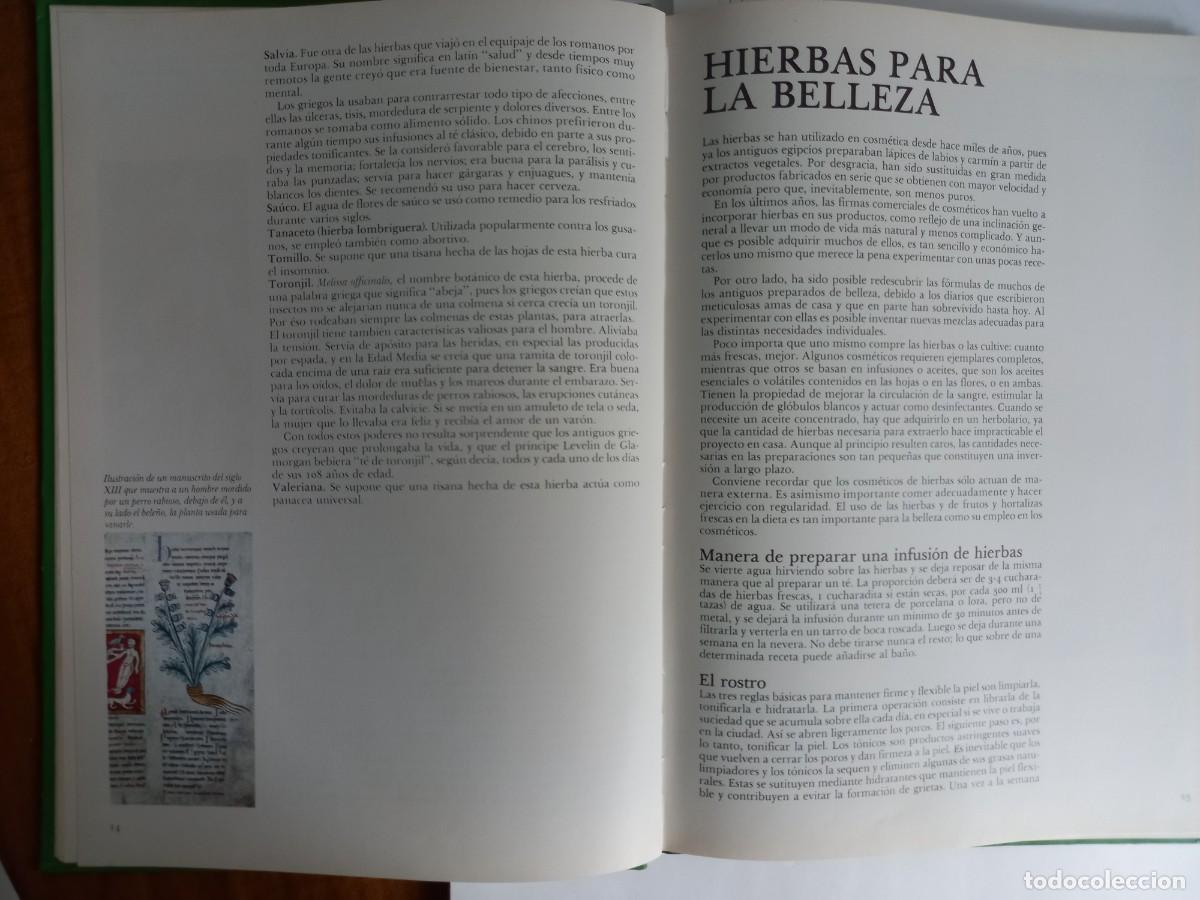 Libros de segunda mano: EL MUNDO DE LAS HIERBAS CAROLINE AUSTIN - Foto 9