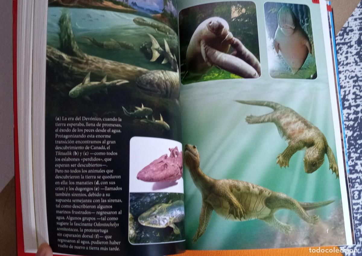 Libros de segunda mano: Evoluci&oacute;n El mayor espect&aacute;culo sobre la Tierra Richard Dawkins - Foto 8