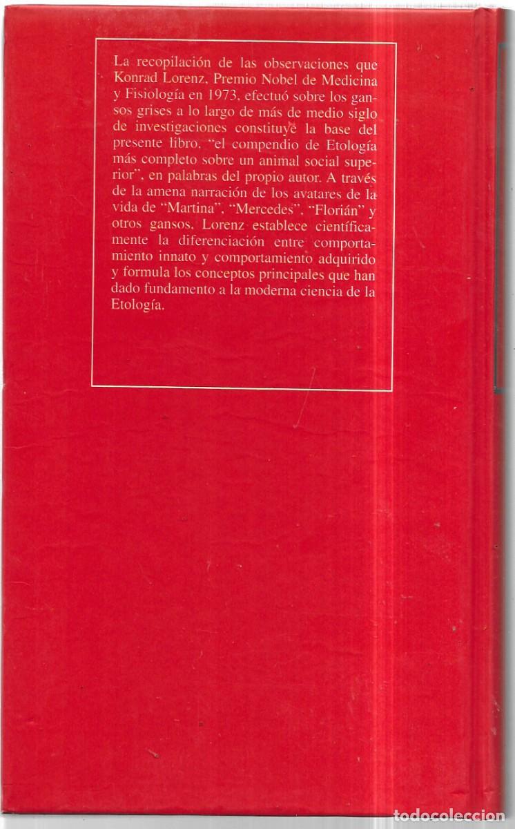 Libros de segunda mano: Konrad Lorenz . Estoy aqu&iacute; &iquest;d&oacute;nde est&aacute;s t&uacute;? - Foto 2