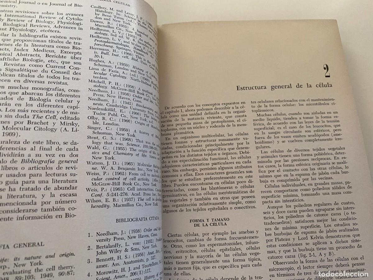 Libros de segunda mano: BIOLOG&Iacute;A CELULAR - DE ROBERTIS - LIBRERIA EL ATENEO - OCTAVA EDICI&Oacute;N - Foto 3