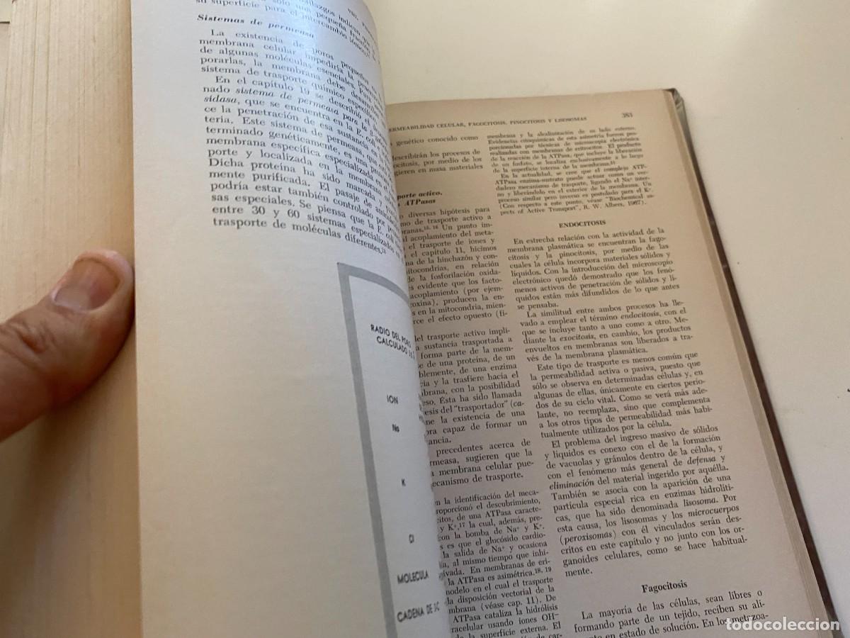 Libros de segunda mano: BIOLOG&Iacute;A CELULAR - DE ROBERTIS - LIBRERIA EL ATENEO - OCTAVA EDICI&Oacute;N - Foto 9