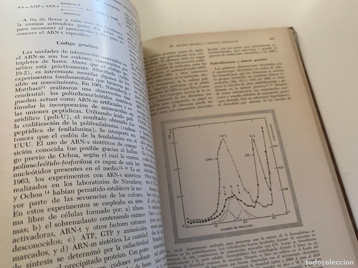 Libros de segunda mano: BIOLOG&Iacute;A CELULAR - DE ROBERTIS - LIBRERIA EL ATENEO - OCTAVA EDICI&Oacute;N - Foto 10