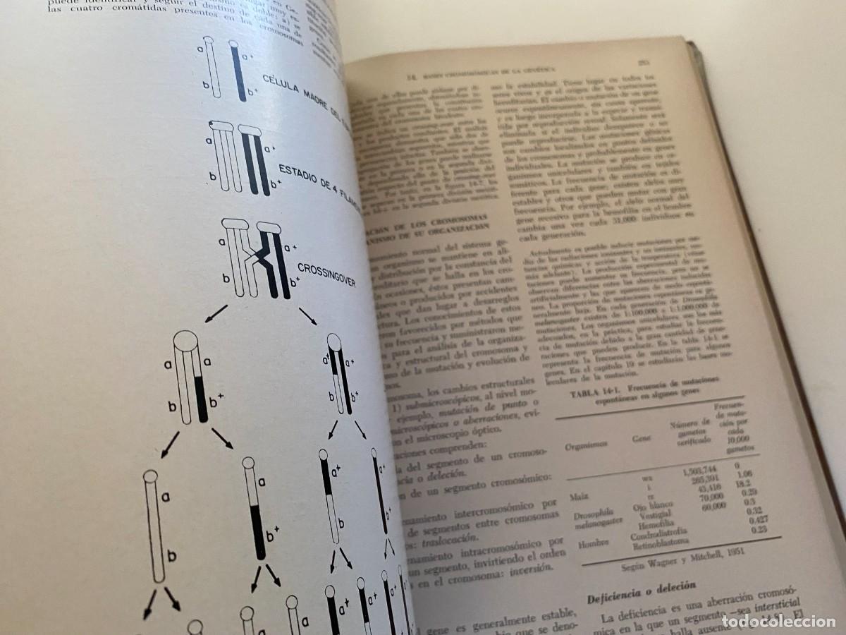 Libros de segunda mano: BIOLOG&Iacute;A CELULAR - DE ROBERTIS - LIBRERIA EL ATENEO - OCTAVA EDICI&Oacute;N - Foto 11