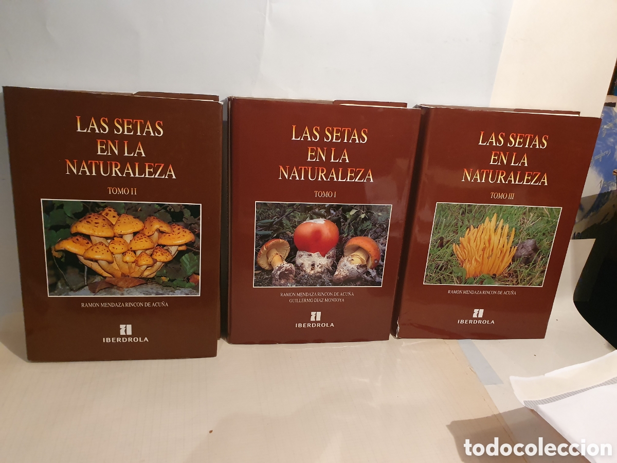 Libros de segunda mano: LAS SETAS EN LA NATURALEZA. IBERDROLA. TOMO I, II Y III. RAMON MENDAZA RINCON DE ACU&Ntilde;A.