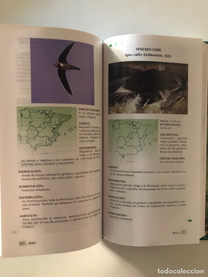 Libros de segunda mano: AVES NIDIFICANTES DE ESPA&Ntilde;A. &iexcl;NUEVO! - Foto 4