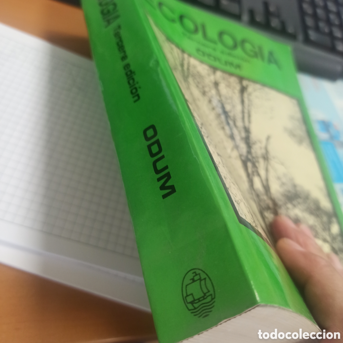 Libros de segunda mano: Geolog&iacute;a - ODUM - Foto 2