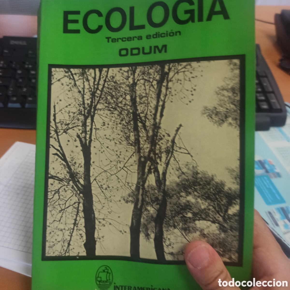 Libros de segunda mano: Geolog&iacute;a - ODUM - Foto 1
