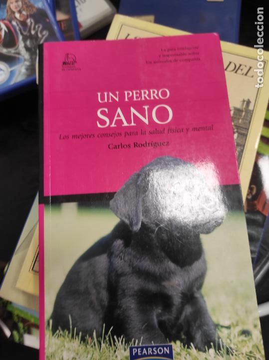 Libros de segunda mano: Animales De Compa&ntilde;&iacute;a: Un Perro Sano. Carlos Rodriguez - Foto 1