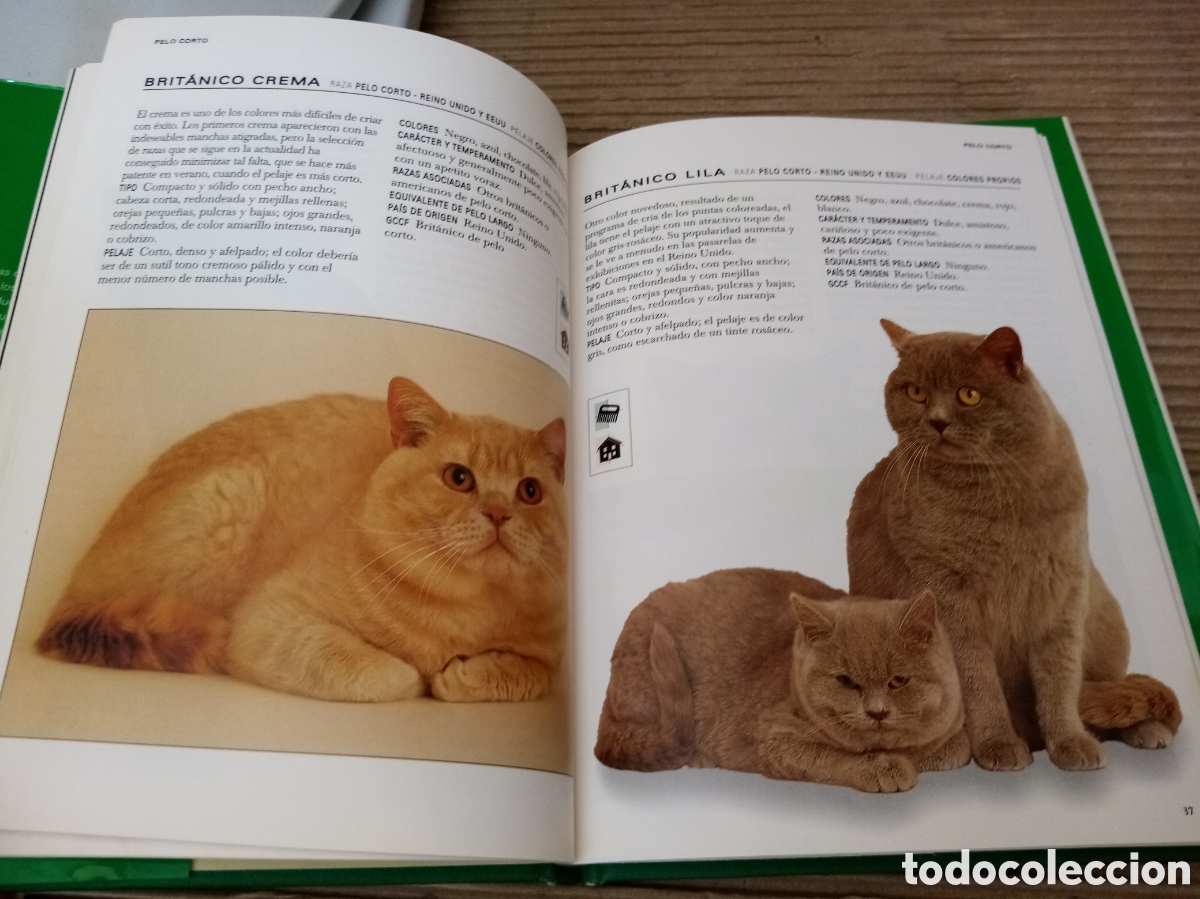 Libros de segunda mano: Gatos (lote de 4 libros) - Foto 7
