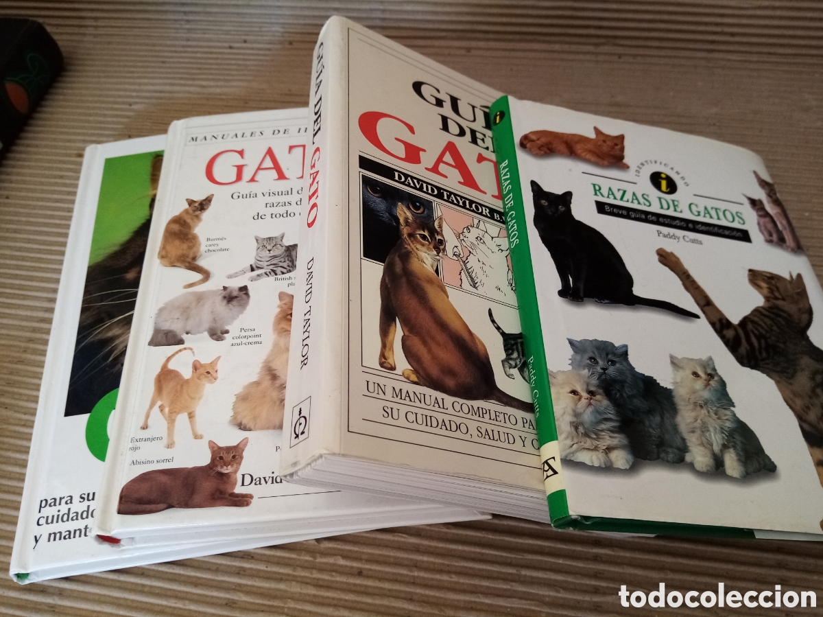 Libros de segunda mano: Gatos (lote de 4 libros) - Foto 1