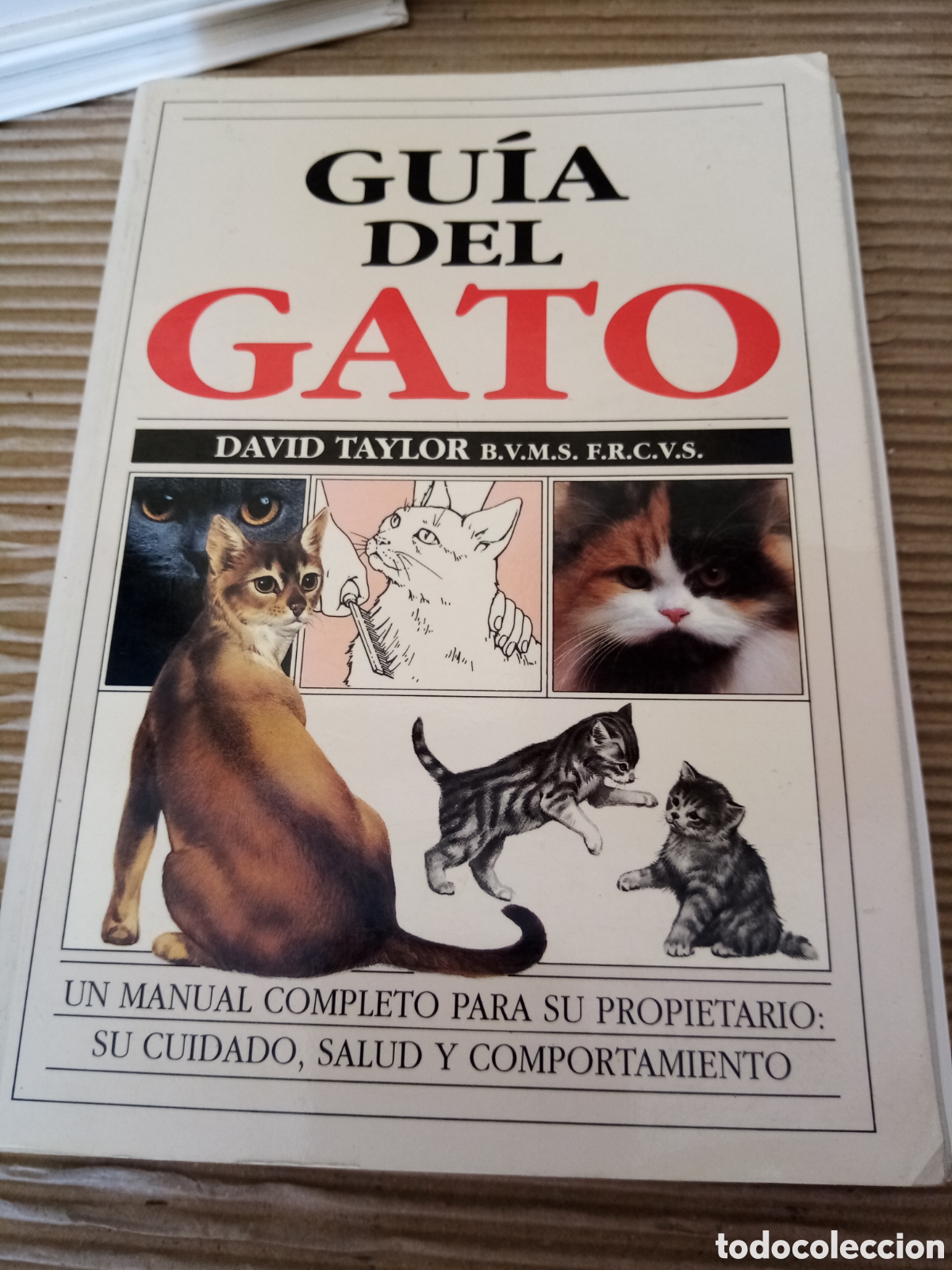 Libros de segunda mano: Gatos (lote de 4 libros) - Foto 8