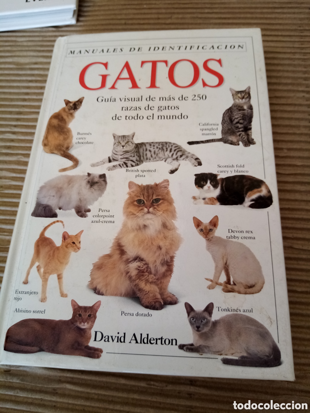 Libros de segunda mano: Gatos (lote de 4 libros) - Foto 9