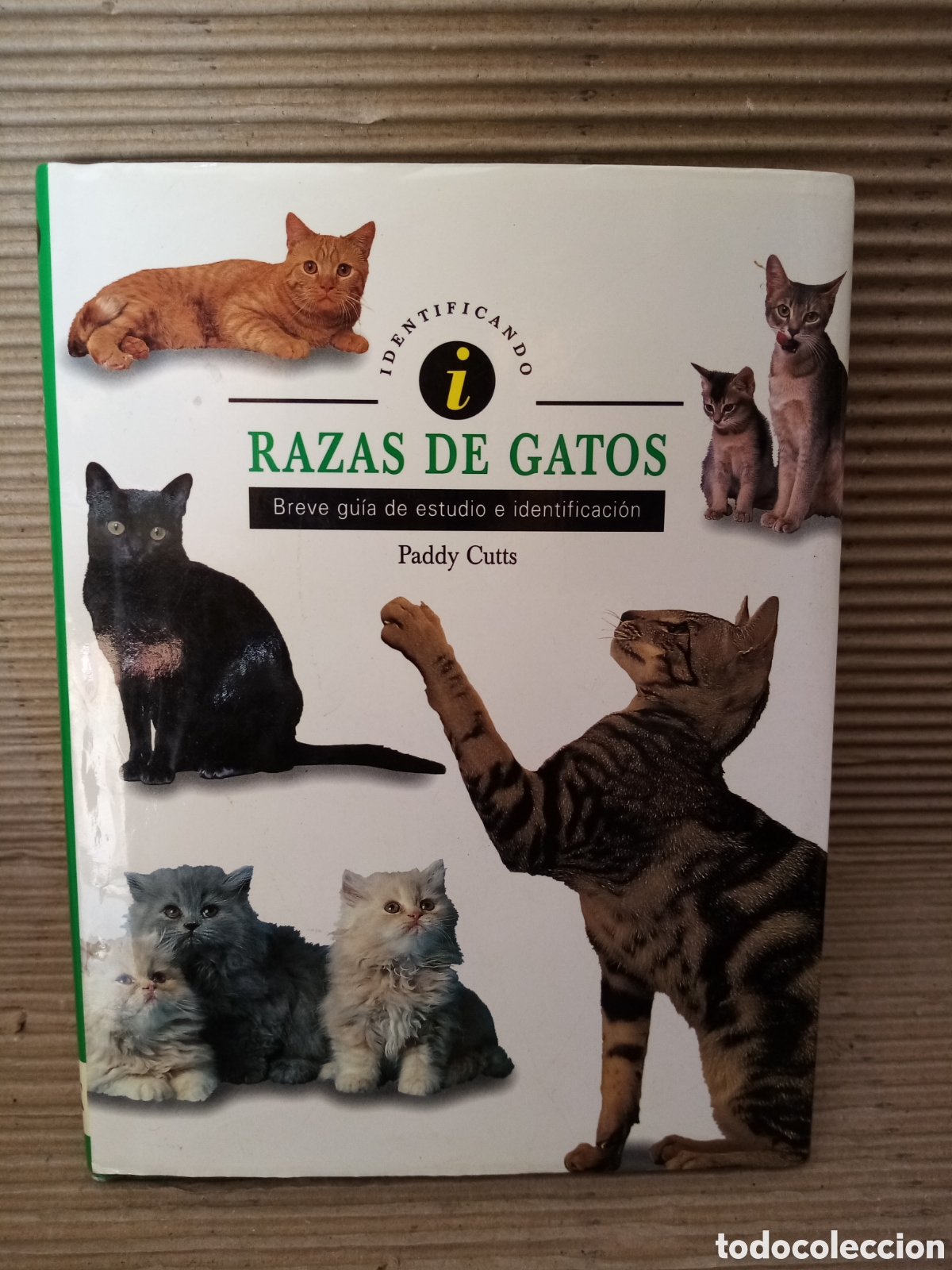 Libros de segunda mano: Gatos (lote de 4 libros) - Foto 2