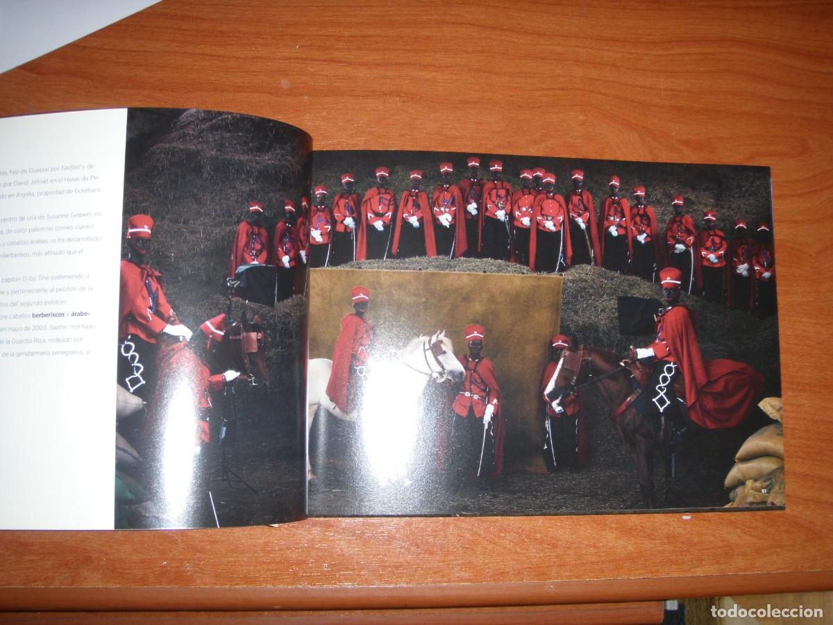 Libros de segunda mano: LIBRO CABALLOS YANN ARTHUS-BERTRAND - Foto 3