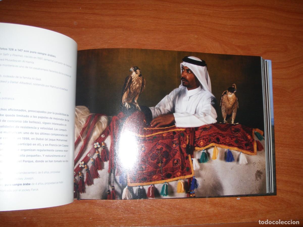 Libros de segunda mano: LIBRO CABALLOS YANN ARTHUS-BERTRAND - Foto 4