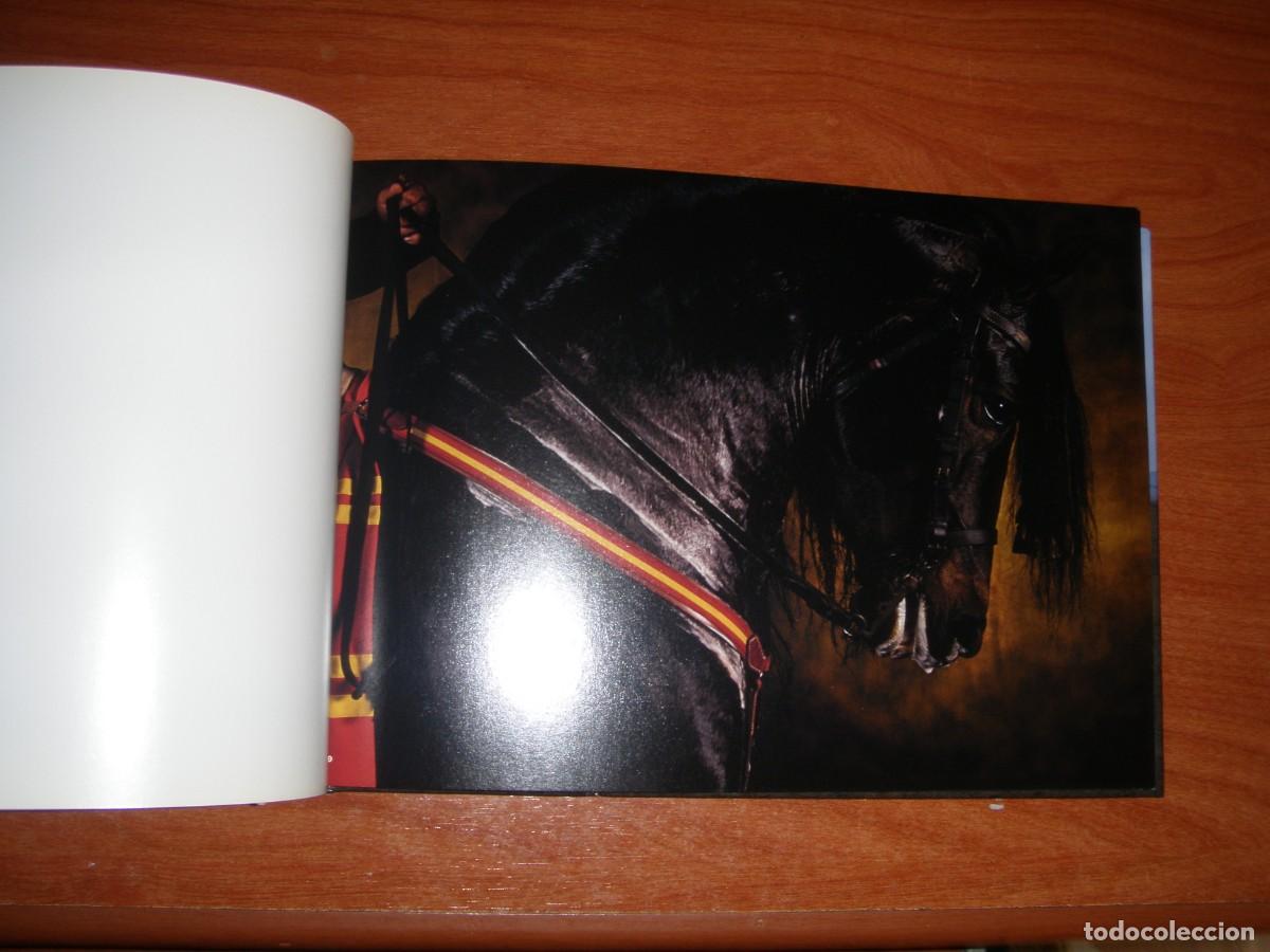 Libros de segunda mano: LIBRO CABALLOS YANN ARTHUS-BERTRAND - Foto 7