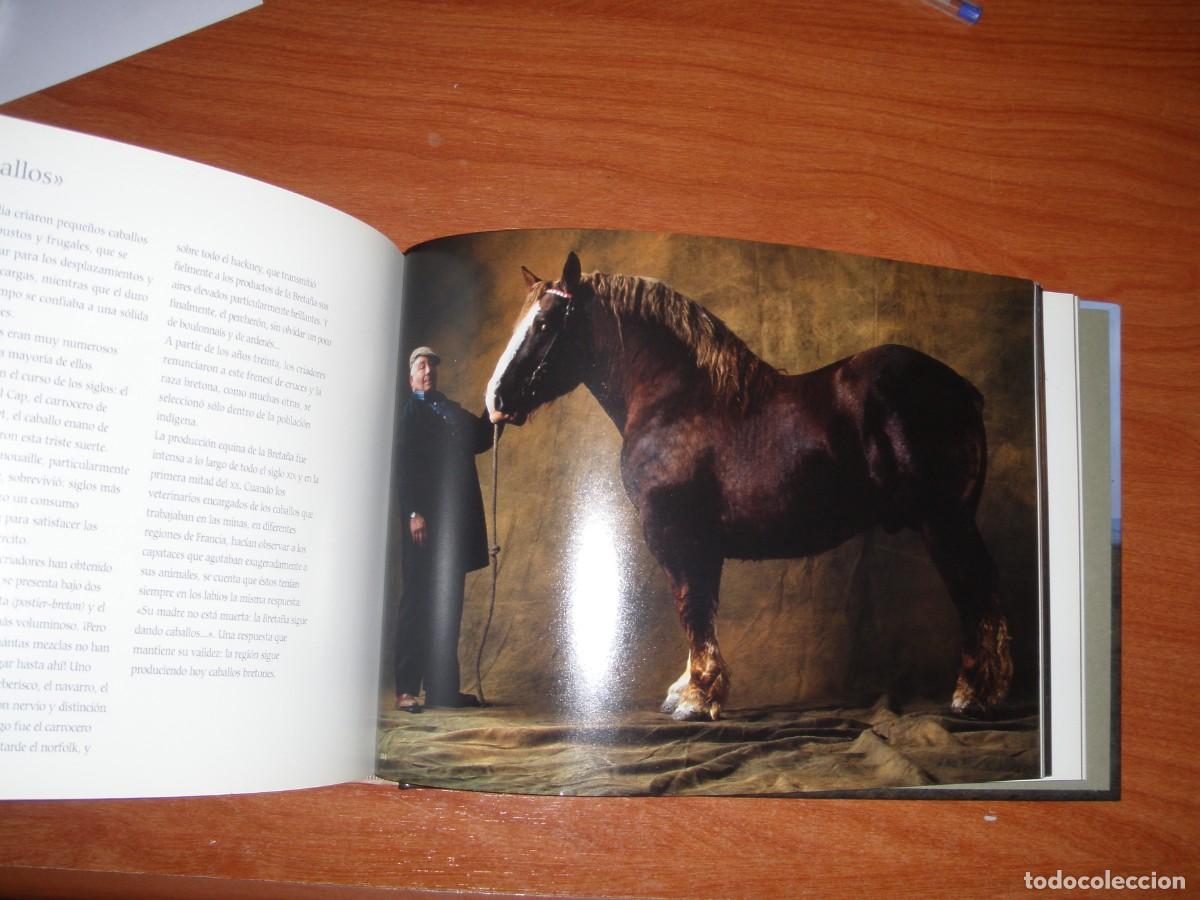 Libros de segunda mano: LIBRO CABALLOS YANN ARTHUS-BERTRAND - Foto 8