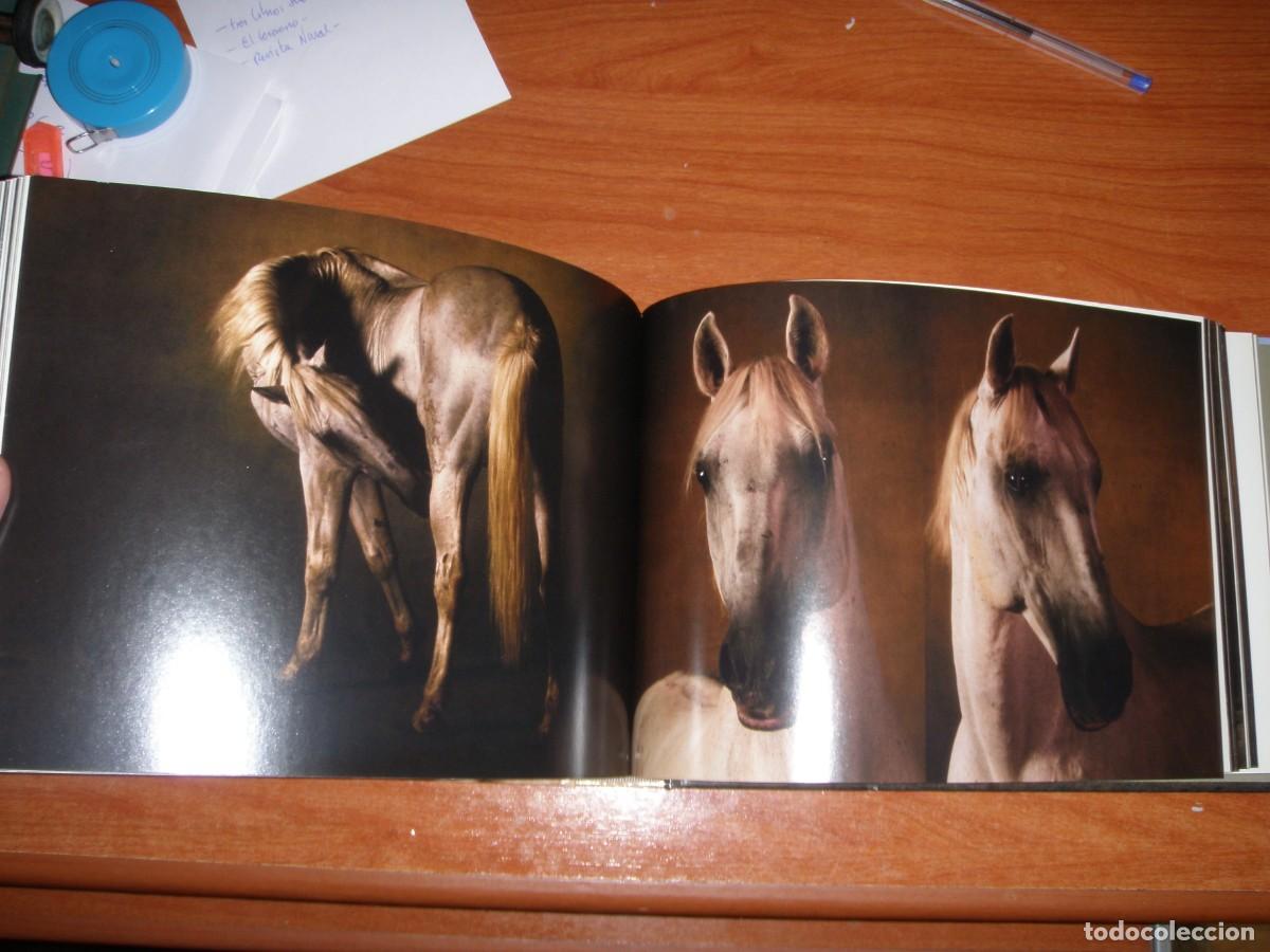 Libros de segunda mano: LIBRO CABALLOS YANN ARTHUS-BERTRAND - Foto 9