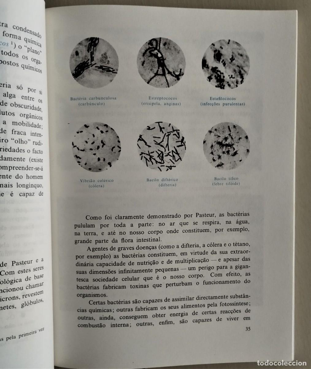 Libros de segunda mano: As Origens da Vida - do &aacute;tomo &agrave; c&eacute;lula de Joel de Rosnay - Foto 7