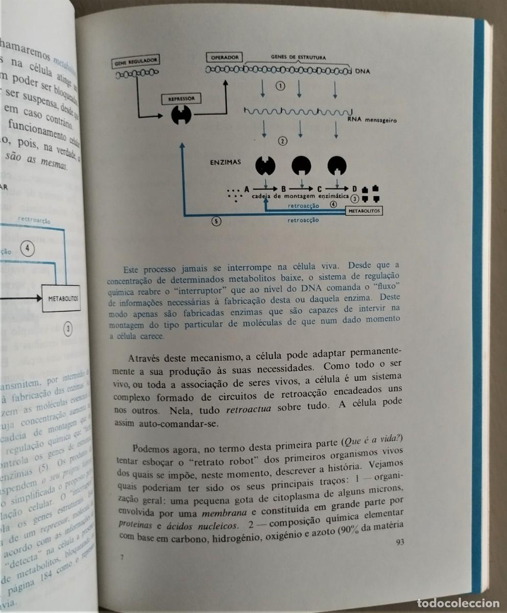Libros de segunda mano: As Origens da Vida - do &aacute;tomo &agrave; c&eacute;lula de Joel de Rosnay - Foto 8