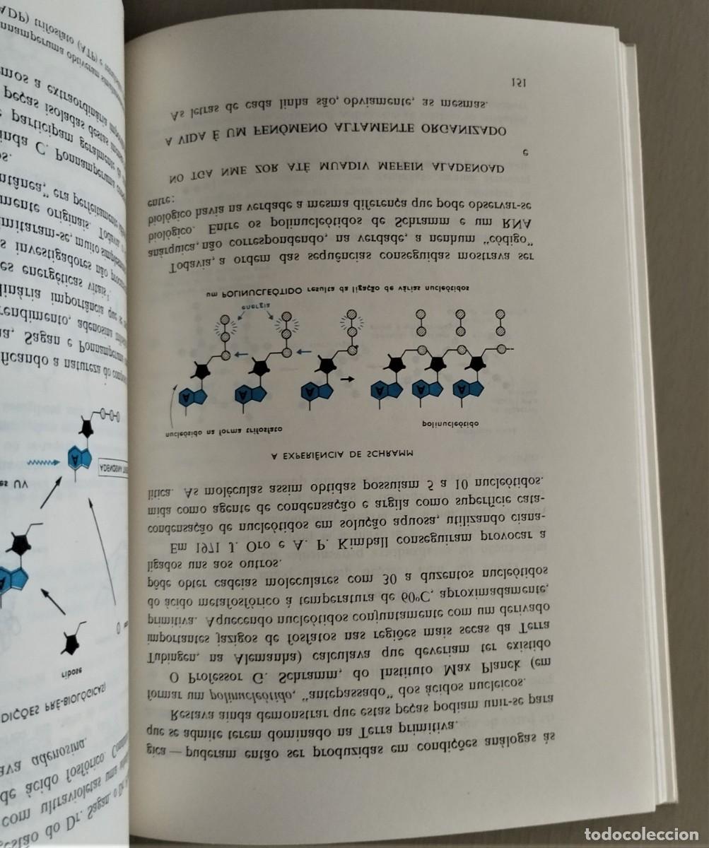 Libros de segunda mano: As Origens da Vida - do &aacute;tomo &agrave; c&eacute;lula de Joel de Rosnay - Foto 9