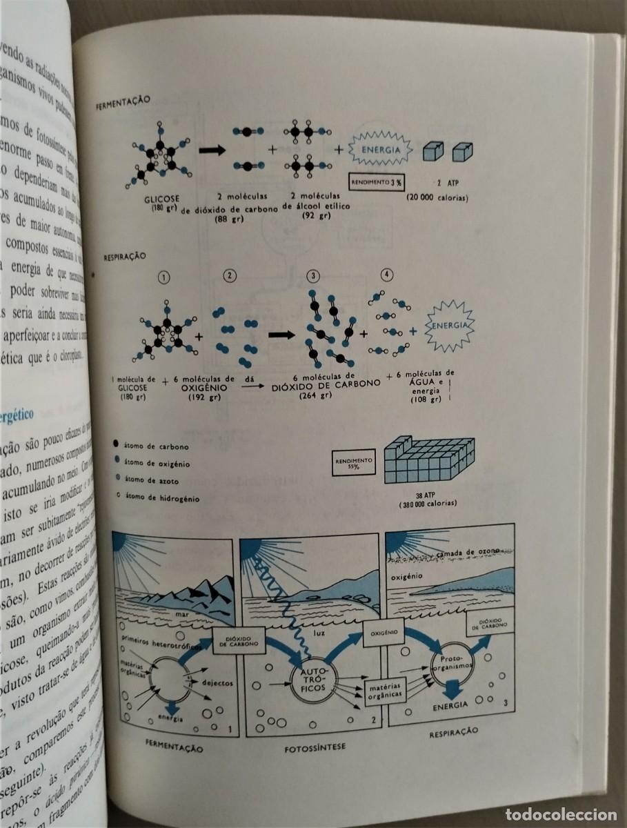 Libros de segunda mano: As Origens da Vida - do &aacute;tomo &agrave; c&eacute;lula de Joel de Rosnay - Foto 10
