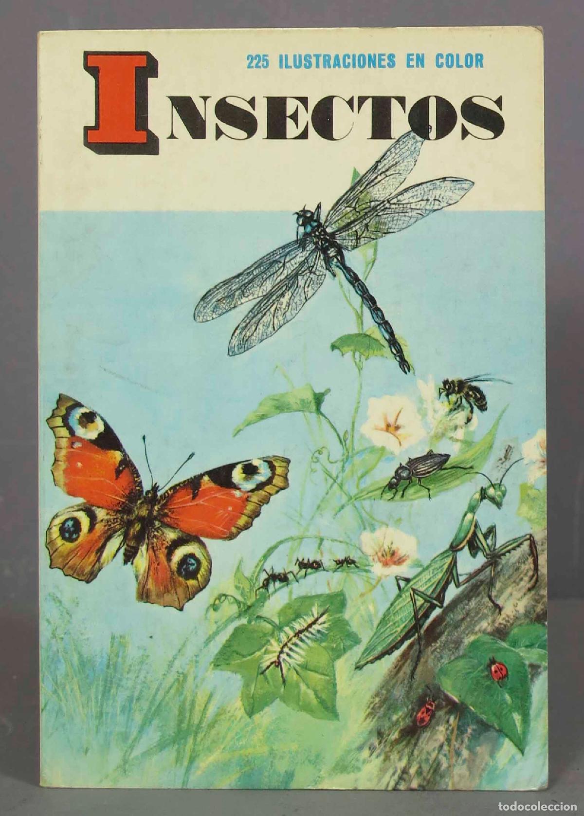 Libros de segunda mano: INSECTOS. HACHETTE - Foto 1