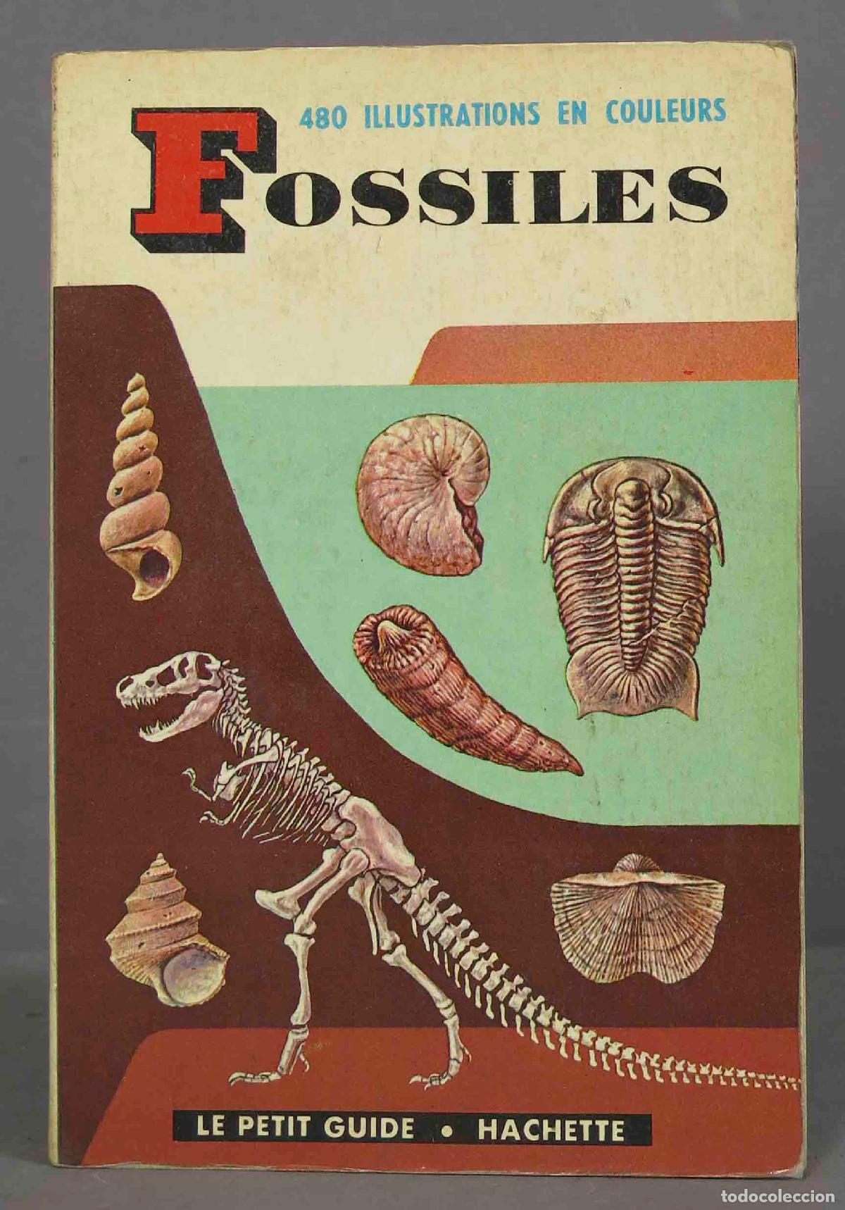 Libros de segunda mano: Le petit guide des fossiles - Foto 1