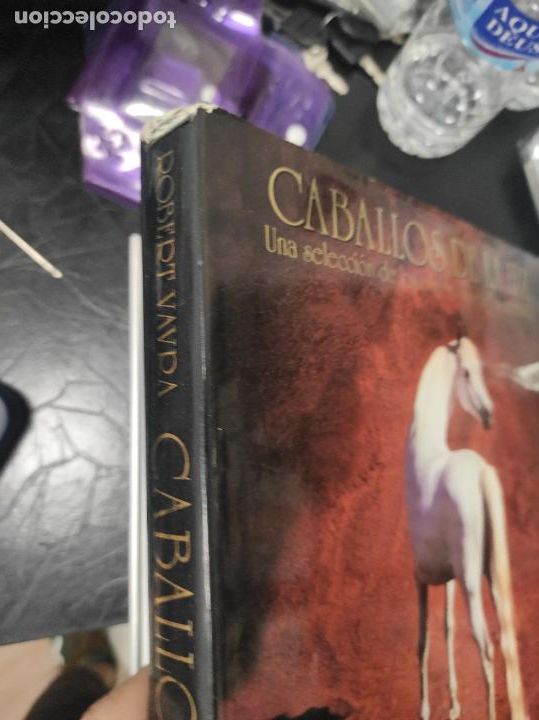 Libros de segunda mano: Caballos de la luz. Robert Vavra. Introducci&oacute;n William Shatner - Foto 2