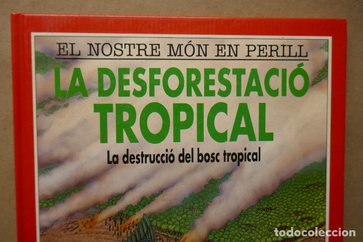Libros de segunda mano: LA DESFORESTACI&Oacute; TROPICAL - EL NOSTRE M&Oacute;N EN PERILL - (EN CATALAN) - EXCELENTE ESTADO - Foto 2