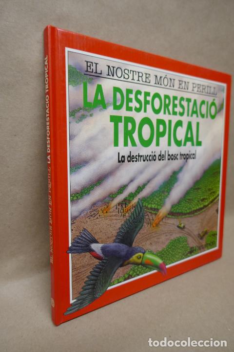Libros de segunda mano: LA DESFORESTACI&Oacute; TROPICAL - EL NOSTRE M&Oacute;N EN PERILL - (EN CATALAN) - EXCELENTE ESTADO - Foto 4