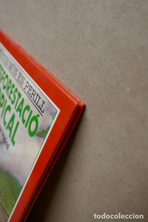 Libros de segunda mano: LA DESFORESTACI&Oacute; TROPICAL - EL NOSTRE M&Oacute;N EN PERILL - (EN CATALAN) - EXCELENTE ESTADO - Foto 5