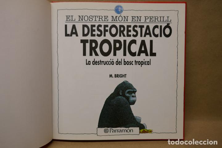 Libros de segunda mano: LA DESFORESTACI&Oacute; TROPICAL - EL NOSTRE M&Oacute;N EN PERILL - (EN CATALAN) - EXCELENTE ESTADO - Foto 7