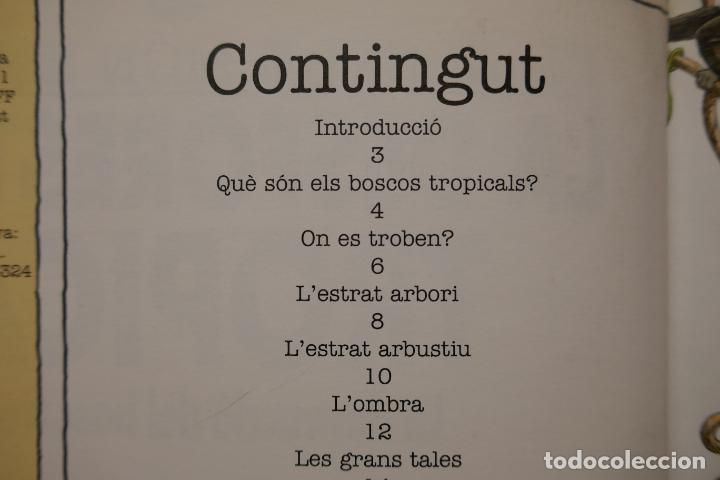 Libros de segunda mano: LA DESFORESTACI&Oacute; TROPICAL - EL NOSTRE M&Oacute;N EN PERILL - (EN CATALAN) - EXCELENTE ESTADO - Foto 10