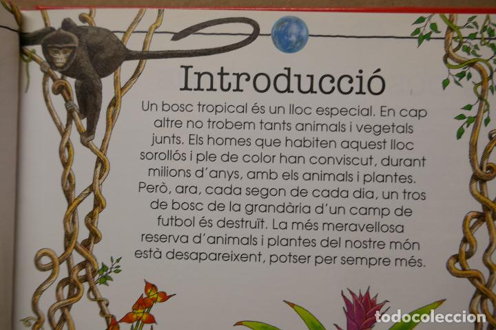 Libros de segunda mano: LA DESFORESTACI&Oacute; TROPICAL - EL NOSTRE M&Oacute;N EN PERILL - (EN CATALAN) - EXCELENTE ESTADO - Foto 12