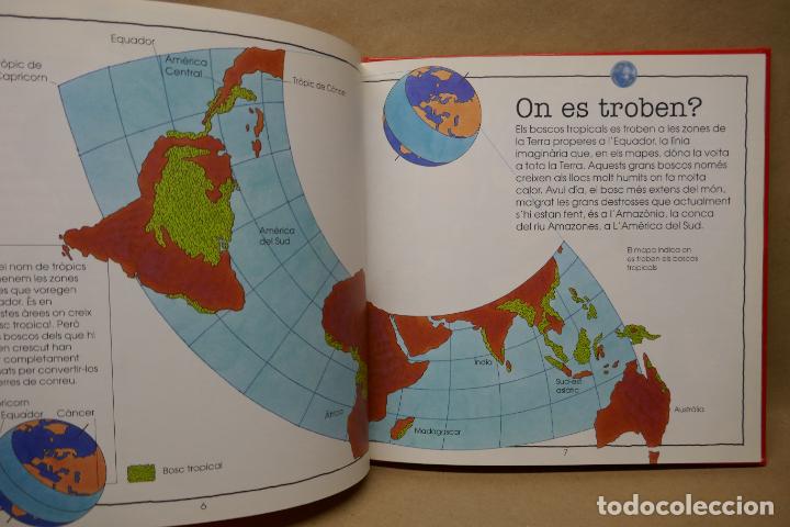 Libros de segunda mano: LA DESFORESTACI&Oacute; TROPICAL - EL NOSTRE M&Oacute;N EN PERILL - (EN CATALAN) - EXCELENTE ESTADO - Foto 13