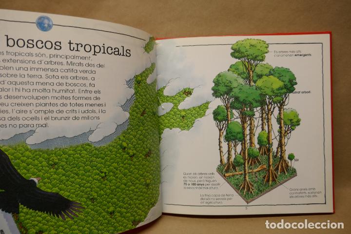 Libros de segunda mano: LA DESFORESTACI&Oacute; TROPICAL - EL NOSTRE M&Oacute;N EN PERILL - (EN CATALAN) - EXCELENTE ESTADO - Foto 14