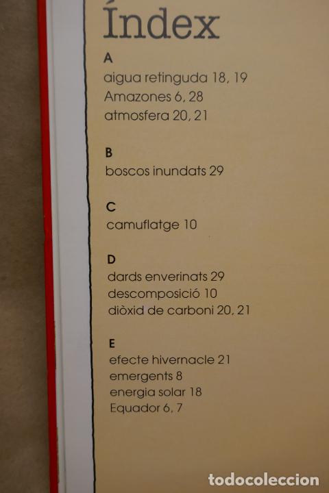 Libros de segunda mano: LA DESFORESTACI&Oacute; TROPICAL - EL NOSTRE M&Oacute;N EN PERILL - (EN CATALAN) - EXCELENTE ESTADO - Foto 15