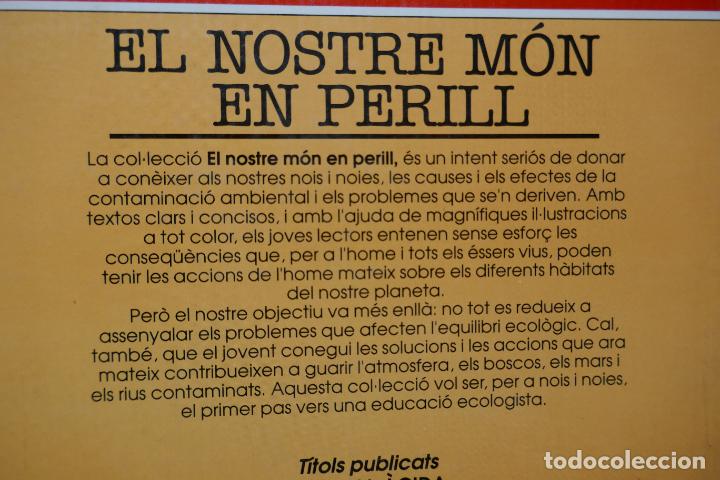 Libros de segunda mano: LA DESFORESTACI&Oacute; TROPICAL - EL NOSTRE M&Oacute;N EN PERILL - (EN CATALAN) - EXCELENTE ESTADO - Foto 19