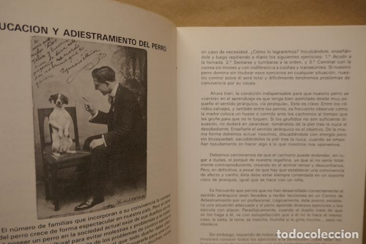 Libros de segunda mano: GUIA DEL PERRO - GRUPO CINOFILIA - Foto 6