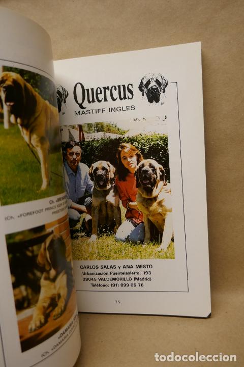 Libros de segunda mano: GUIA DEL PERRO - GRUPO CINOFILIA - Foto 10