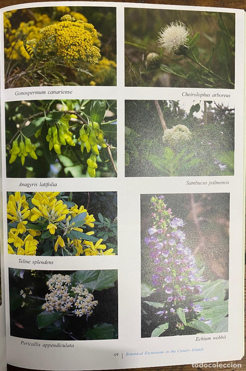 Libros de segunda mano: EXCURSIONES BOT&Aacute;NICAS POR LAS ISLAS CANARIAS - DAVID BRAMWELL - Foto 3