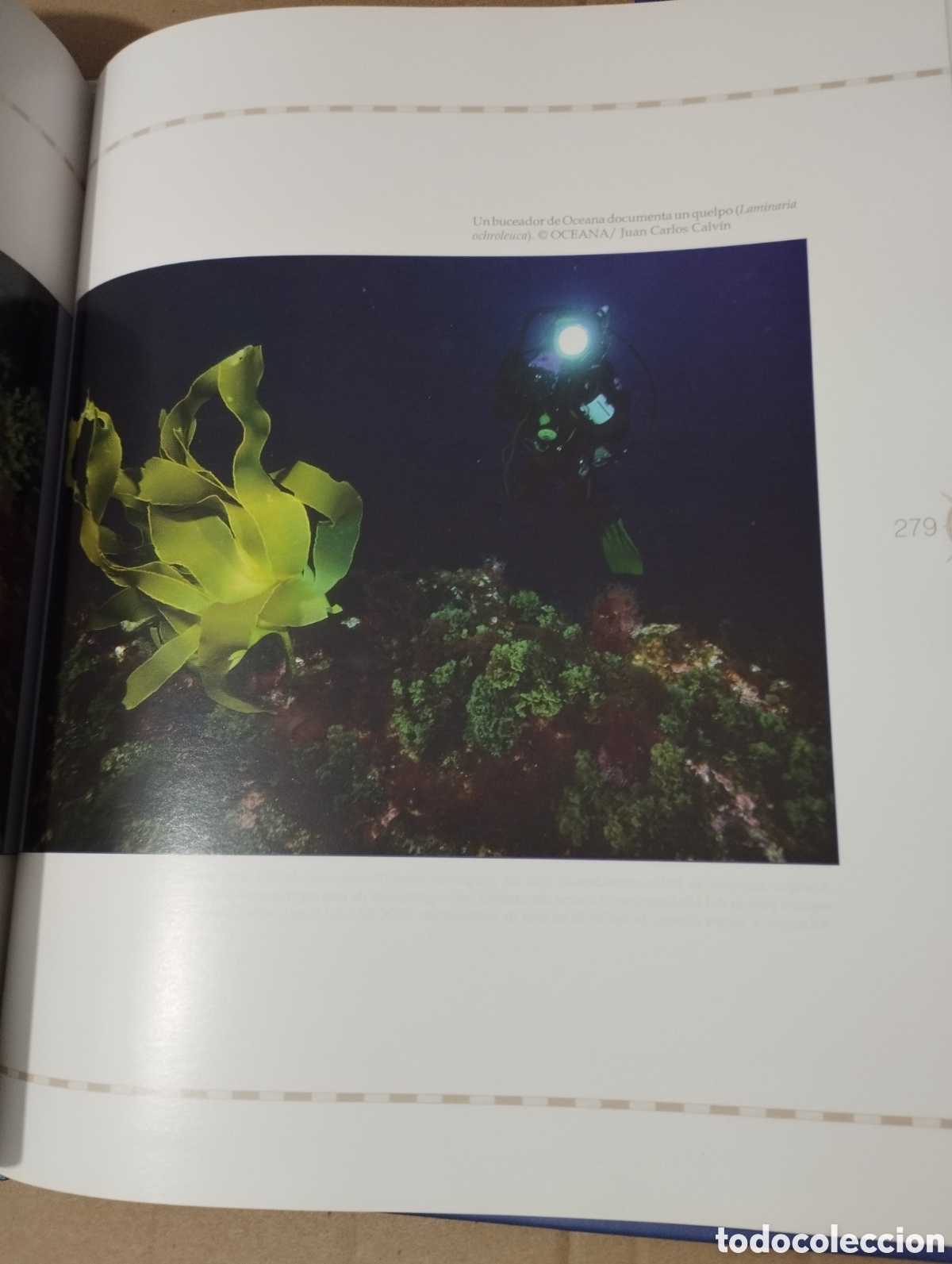 Libros de segunda mano: 12000 MILLAS EN DEFENSA DE LOS MARES. LA EXPEDICI&Oacute;N DEL OCEANA RANGER - Foto 4