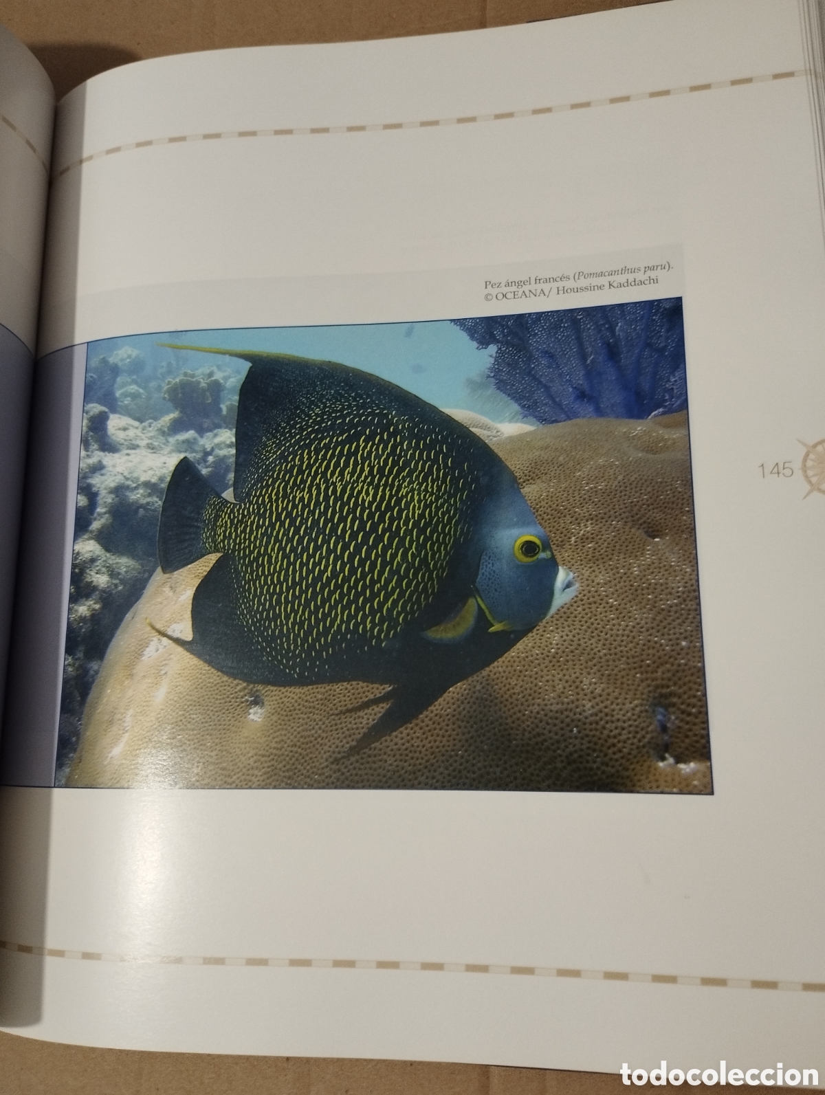 Libros de segunda mano: 12000 MILLAS EN DEFENSA DE LOS MARES. LA EXPEDICI&Oacute;N DEL OCEANA RANGER - Foto 11