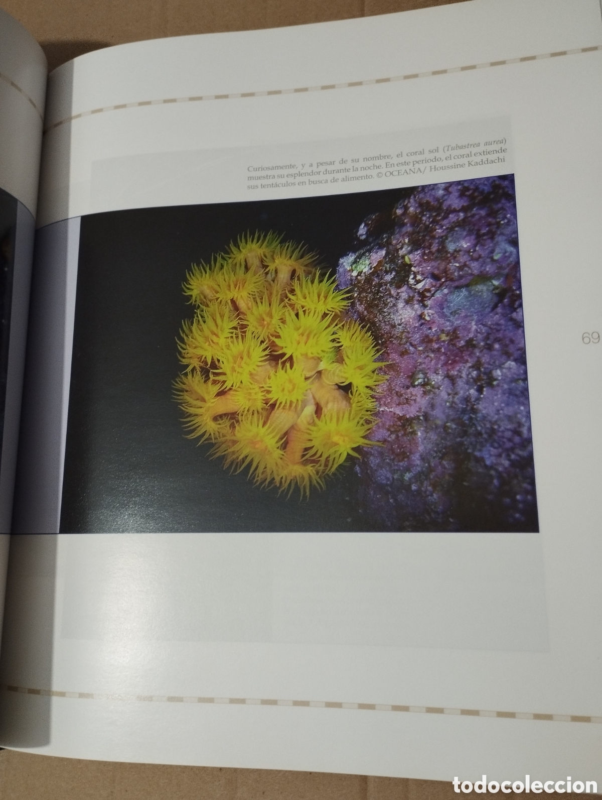 Libros de segunda mano: 12000 MILLAS EN DEFENSA DE LOS MARES. LA EXPEDICI&Oacute;N DEL OCEANA RANGER - Foto 15