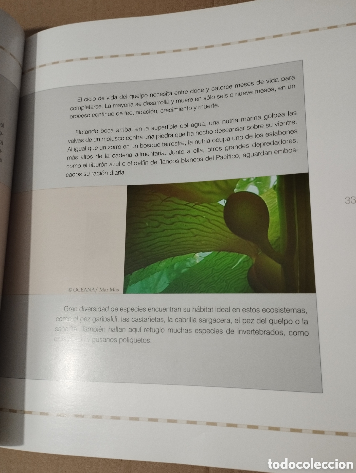 Libros de segunda mano: 12000 MILLAS EN DEFENSA DE LOS MARES. LA EXPEDICI&Oacute;N DEL OCEANA RANGER - Foto 17