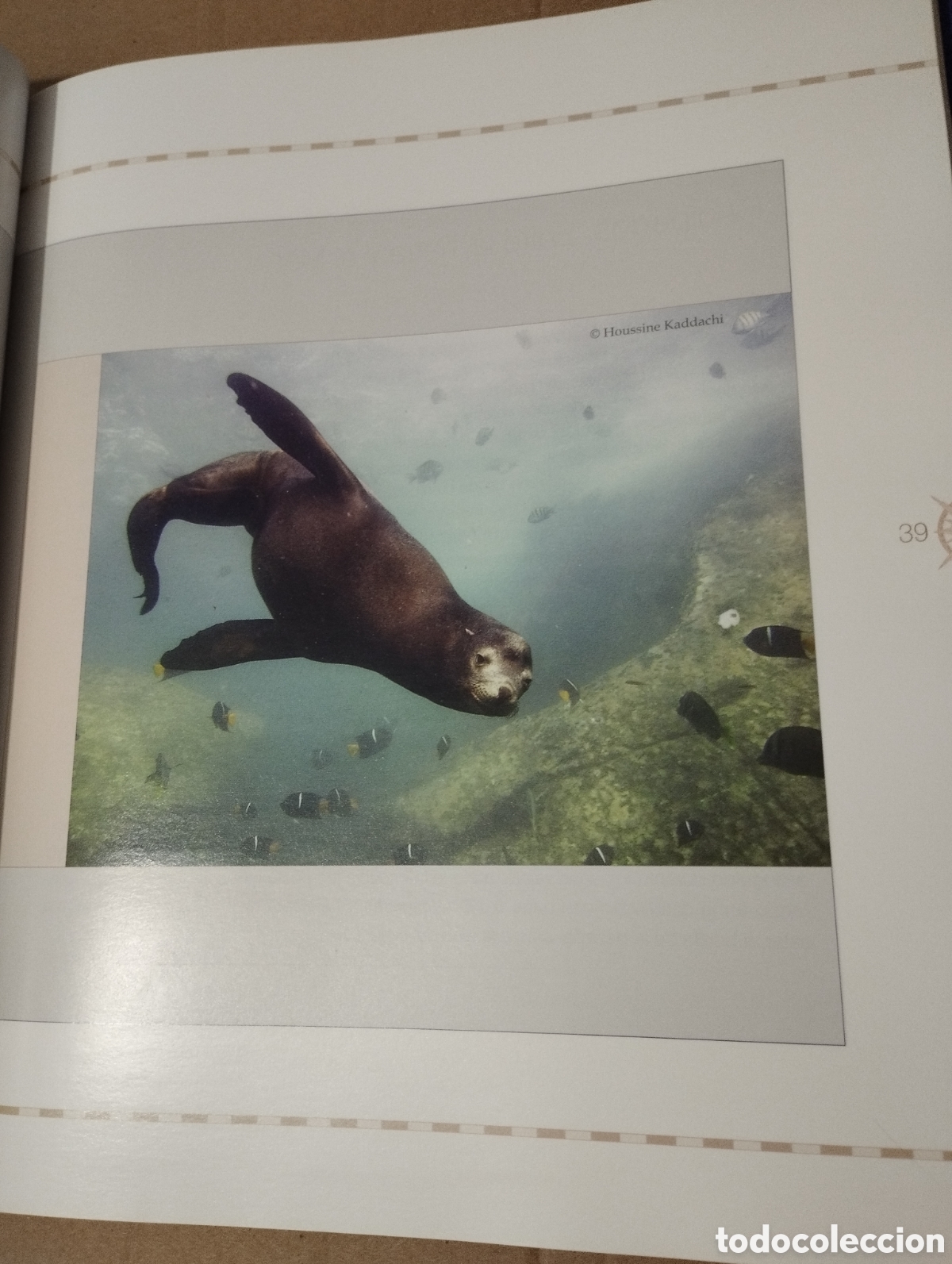 Libros de segunda mano: 12000 MILLAS EN DEFENSA DE LOS MARES. LA EXPEDICI&Oacute;N DEL OCEANA RANGER - Foto 18